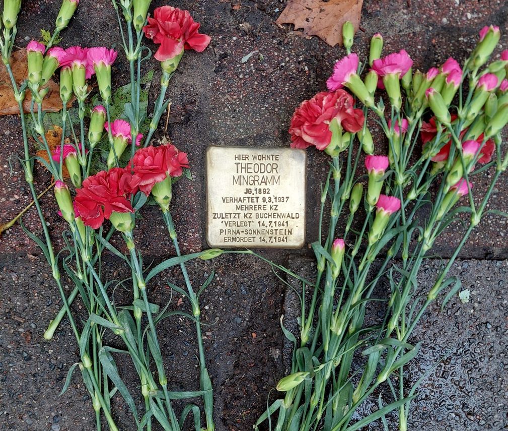 Stolperstein für Theodor Mingramm, umgeben von niedergelegten rosa und roten Nelken. Auf dem Stein steht: Hier wohnte Theodor Mingramm, JG. 1892, verhaftet 9.3.1937, mehrere KZ, zuletzt KZ Buchenwald, ´verlegt`14.7.1941 Pirna Sonnenstein, ermordet 14.7.1941.